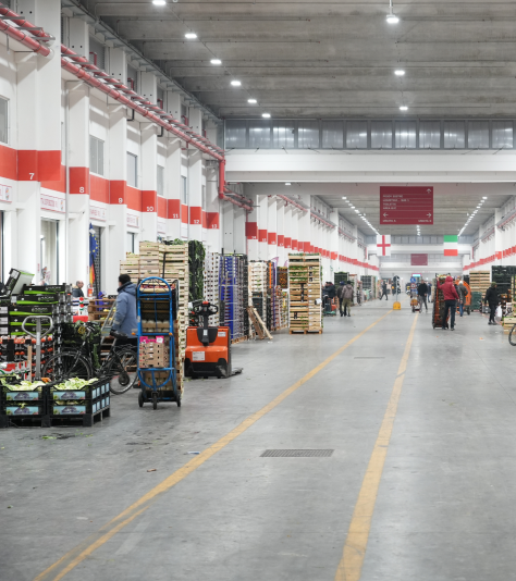 Operatori e bancali di frutta e verdura all’interno di un padiglione del Comprensorio Operatori e bancali di frutta e verdura all’interno di un padiglione del Comprensorio