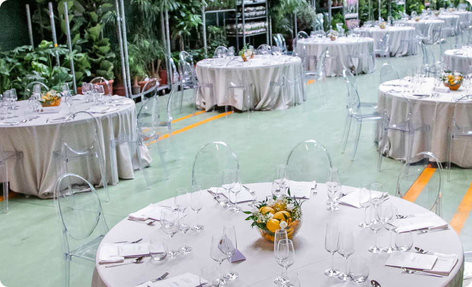 Tavoli rotondi apparecchiati per un evento in uno spazio con piante e luce naturale