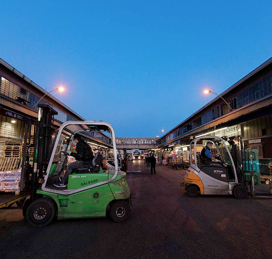 Carrelli elevatori in movimento tra i padiglioni del Comprensorio nelle prime ore del mattino Carrelli elevatori in movimento tra i padiglioni del Comprensorio nelle prime ore del mattino